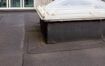 disadvantages of Solitote flat roofs