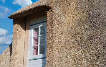 Solitote thatch roof disadvantages