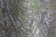 Solitote fibreglass roof work